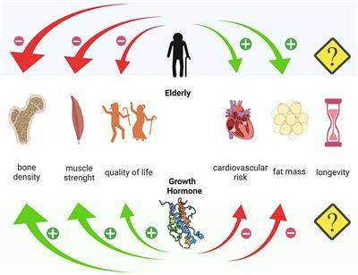 GH Replacement in the Elderly: Is It Worth It?